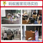 广州本地搬家公司，专业搬家团队用心服务每一位客户！